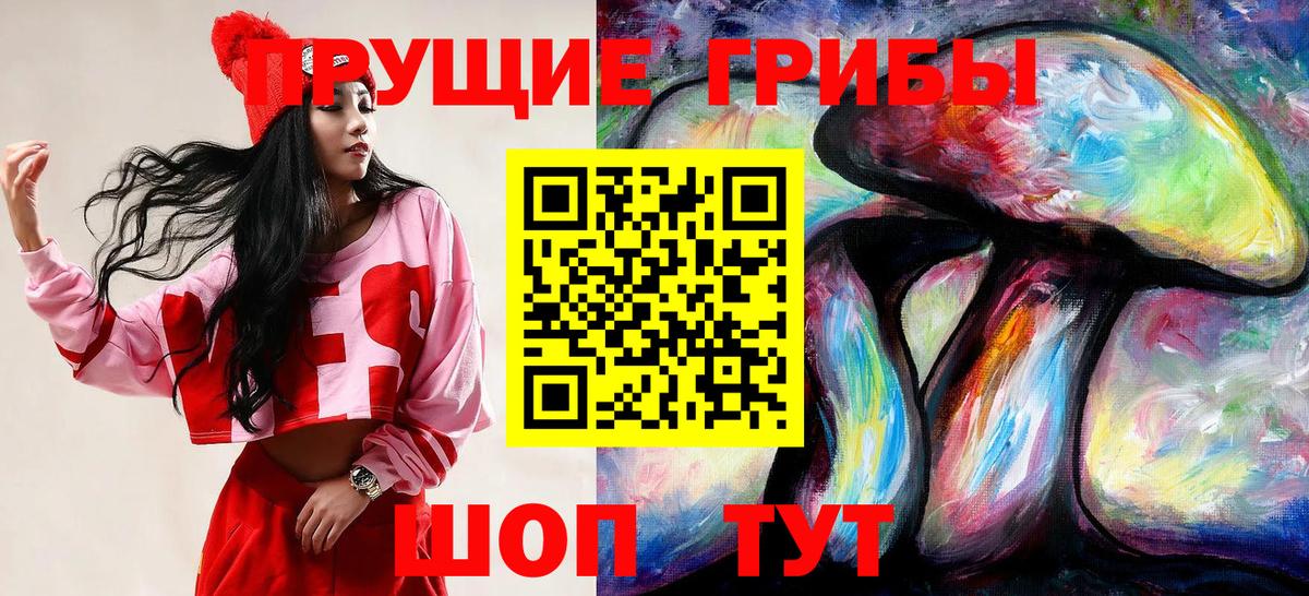 Псилоцибиновые грибы GOLDEN TEACHER  Вход с VPN  Губаха  Галлюциногенные грибы Psilocybine cubensis 